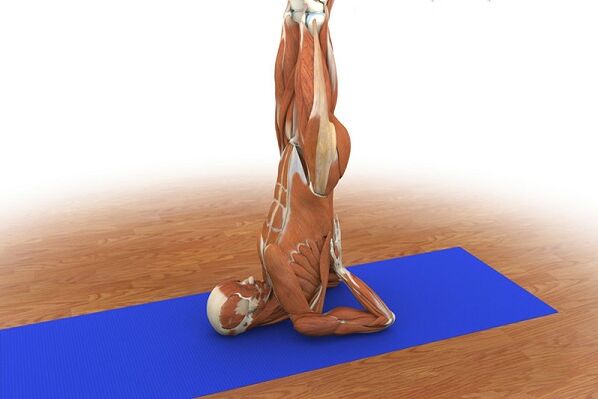 Qayin uchun mashqlar